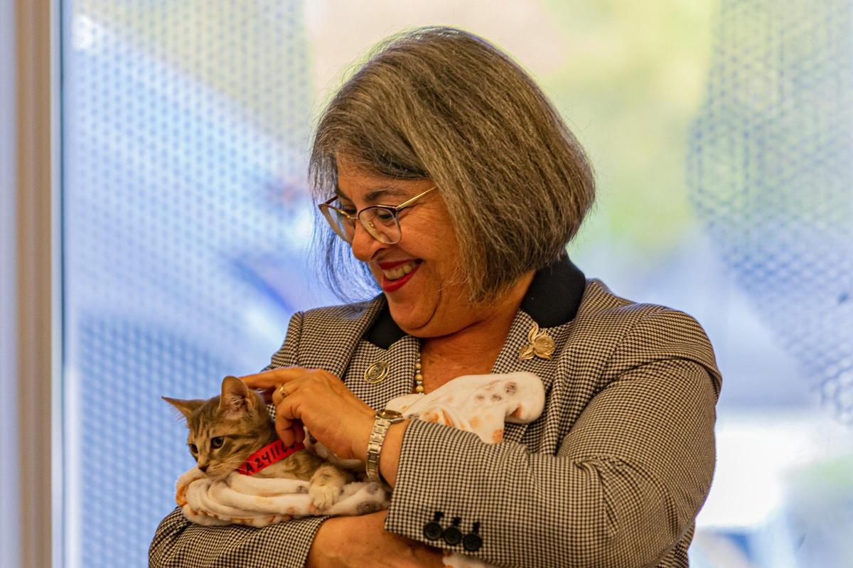 La alcaldesa Daniella Levine Cava sostiene a la gata Tatiana durante una rueda de prensa en Pet Adoption & Protection Center de ASD en Doral, la Florida, el jueves 18 de diciembre de 2022.