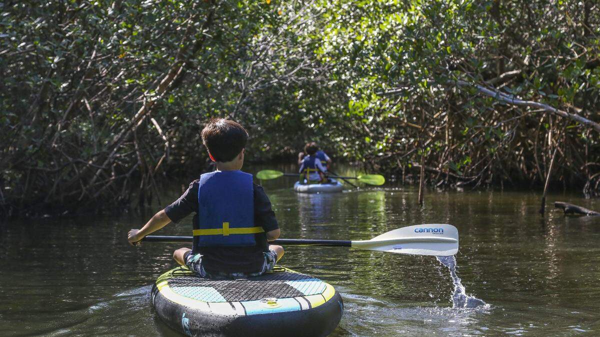 In this file photo, Christopher Ramos, then-10, rode a paddleboard behind his brothers at the Chapman Field Park in Coral Gables on March 23, 2016. The park and waterways are a popular nature attraction and are undergoing renovations from February to July 2021.