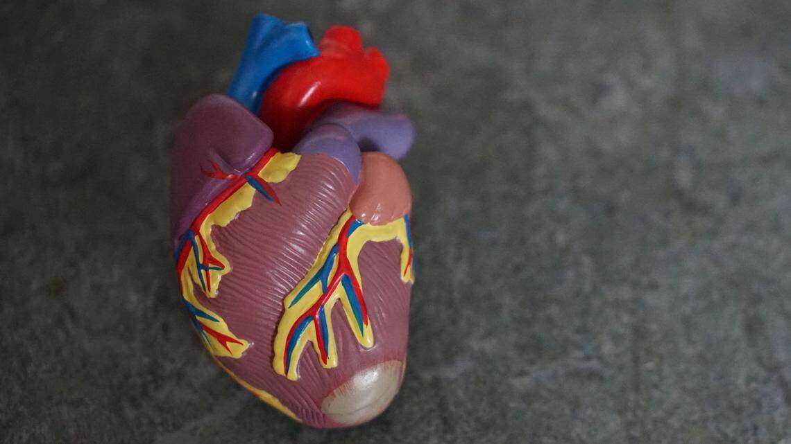 Cardiovascular deaths rose in first years of COVID, study says. Experts have ideas why