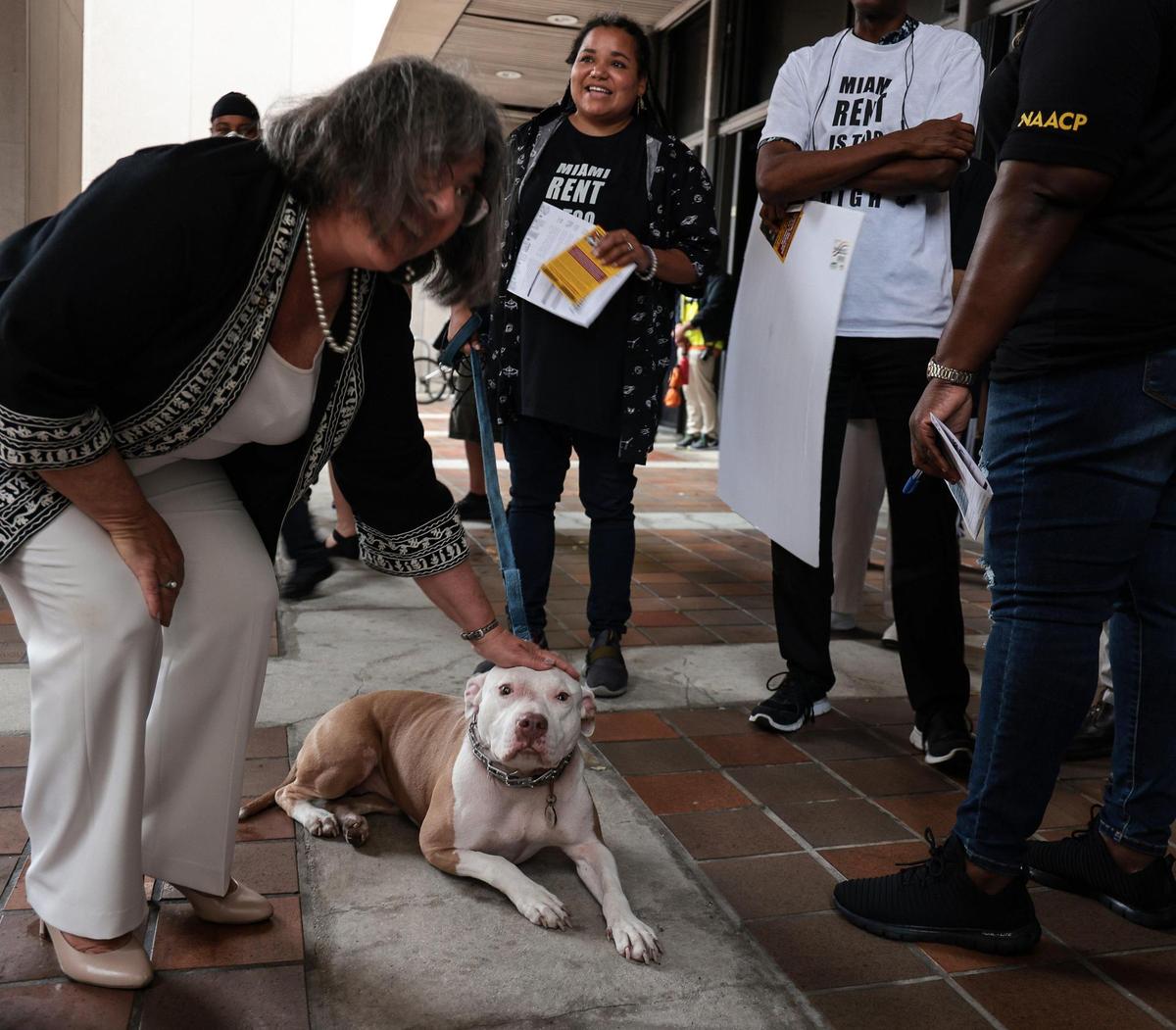 La alcaldesa de Miami-Dade, Daniella Levine Cava, a la izquierda, acaricia al perro de la ex vecina de Miami Nelida Jean-Baptiste Pellot, en el centro, mientras se toma el tiempo para hablar con los manifestantes afuera del Ayuntamiento del Condado. Los activistas a favor de la vivienda justa de Miami Racial Equity, Struggle for Miami's Affordable and Sustainable Housing (SMASH), y otros se manifestaron en protesta por los altos alquileres y por la vivienda asequible antes de la reunión de la comisión del condado en el Ayuntamiento del Condado en el downtown de Miami, Florida, el martes 15 de marzo de 2022.