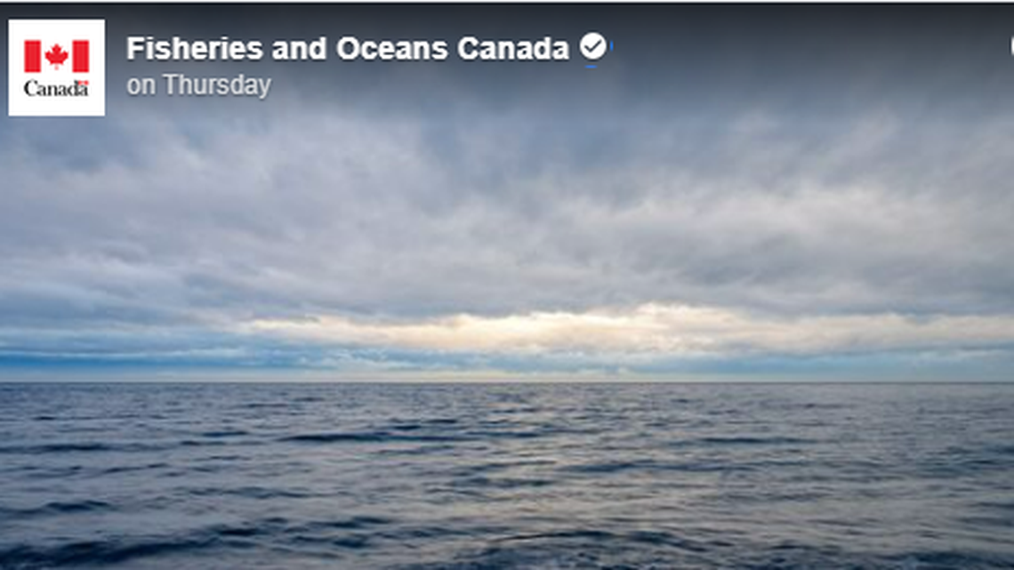 A scientific buoy caught off Canada’s Atlantic Coast had been drifting 64 years, officials say.