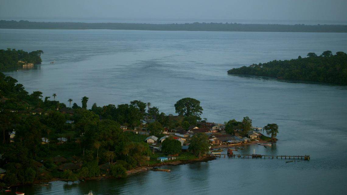 Scientists trawling the seafloor along northwestern Africa discovered a new animal species, the study said. Photo shows a representative area of Guinea-Bissau.