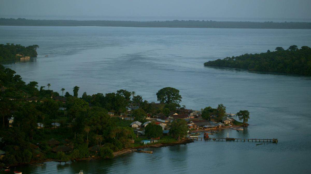 Scientists trawling the seafloor along northwestern Africa discovered a new animal species, the study said. Photo shows a representative area of Guinea-Bissau.