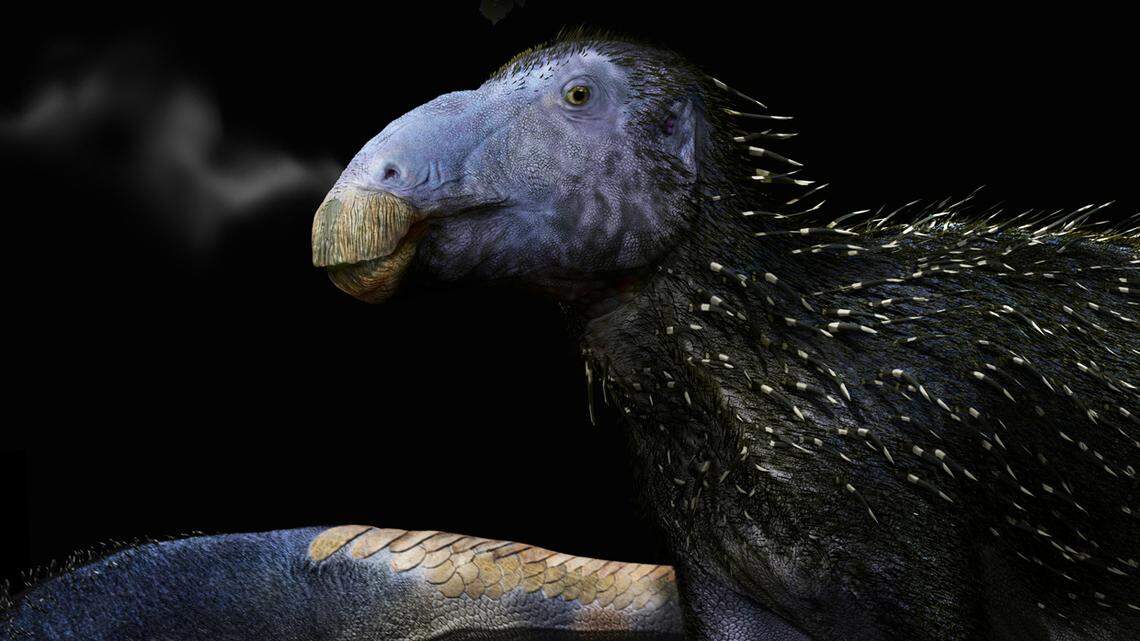 new dinosaur species