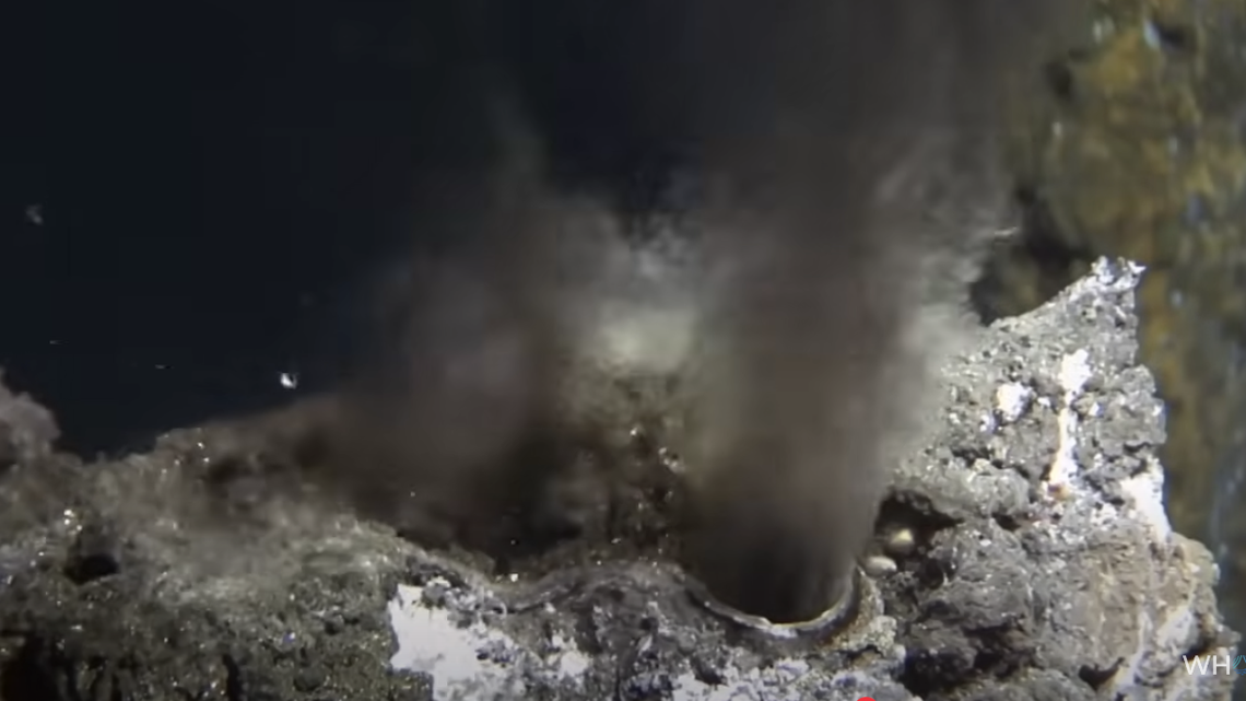 Hydrothermal vents shooting out black material are home to two new species of marine snail.