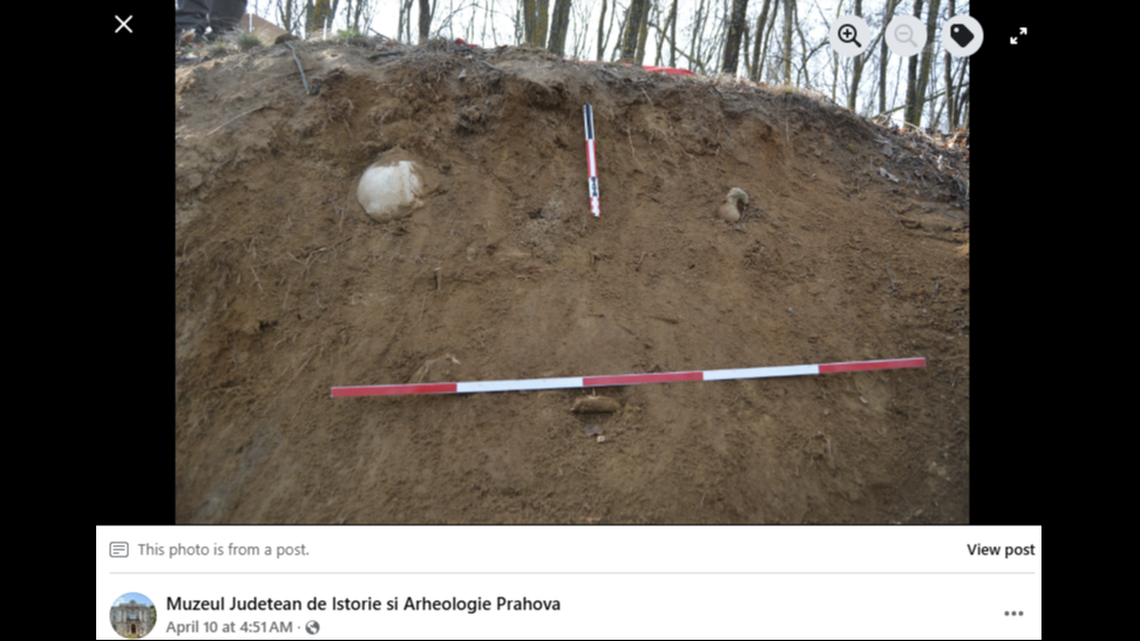 Bones sticking out from a Romania hill turned out to be from the early Bronze Age, archaeologists said.