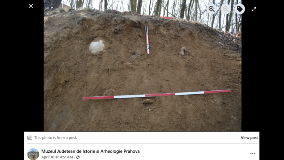 Bones sticking out from a Romania hill turned out to be from the early Bronze Age, archaeologists said.