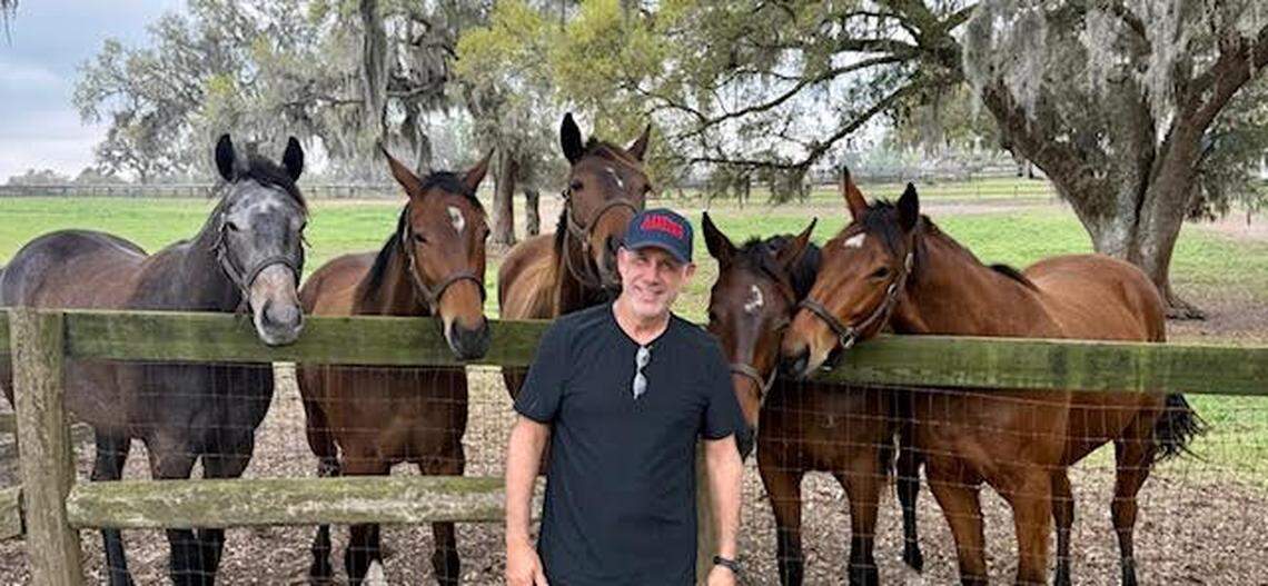 Former Miami Beach Mayor Philip Levine and his thoroughbred horses in Ocala.