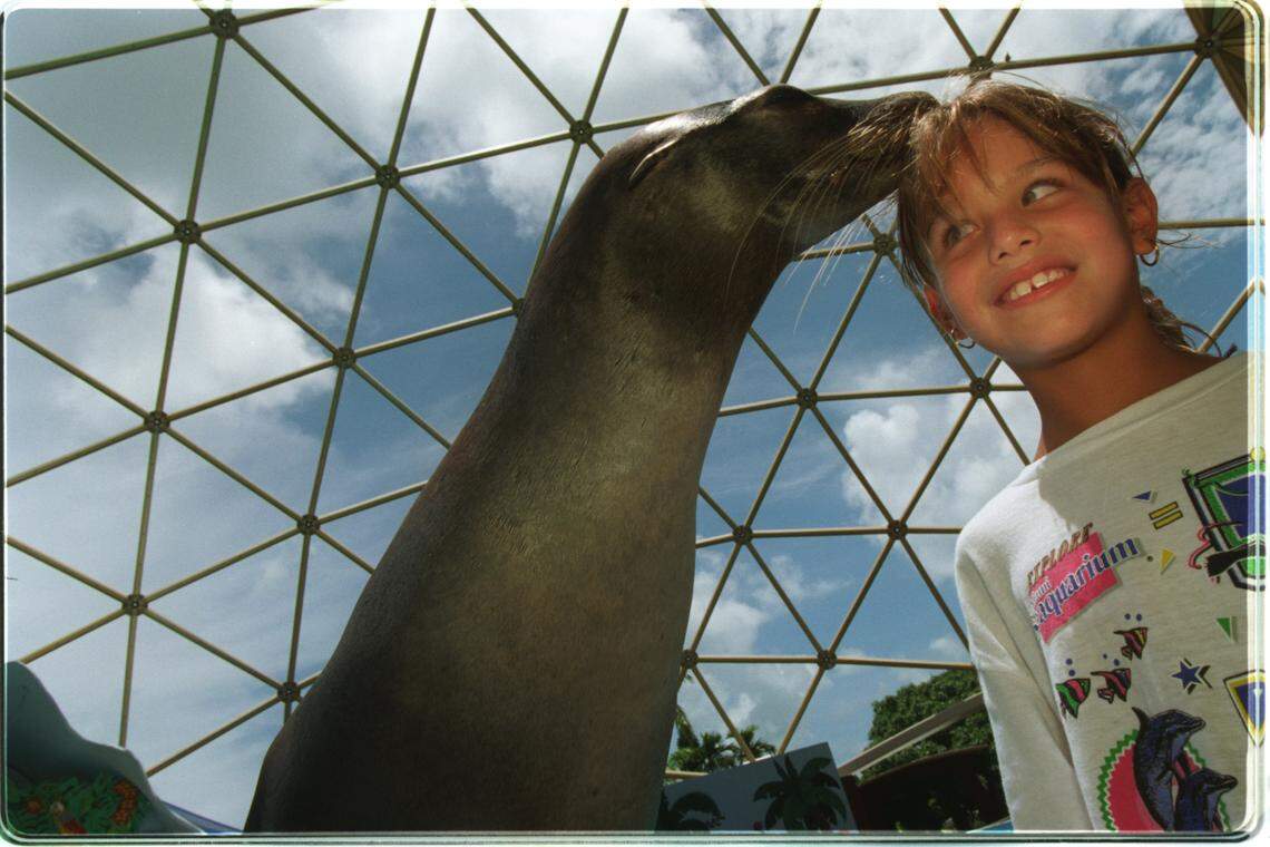 A camper gets up close and personal with Salty the Sea Lion.