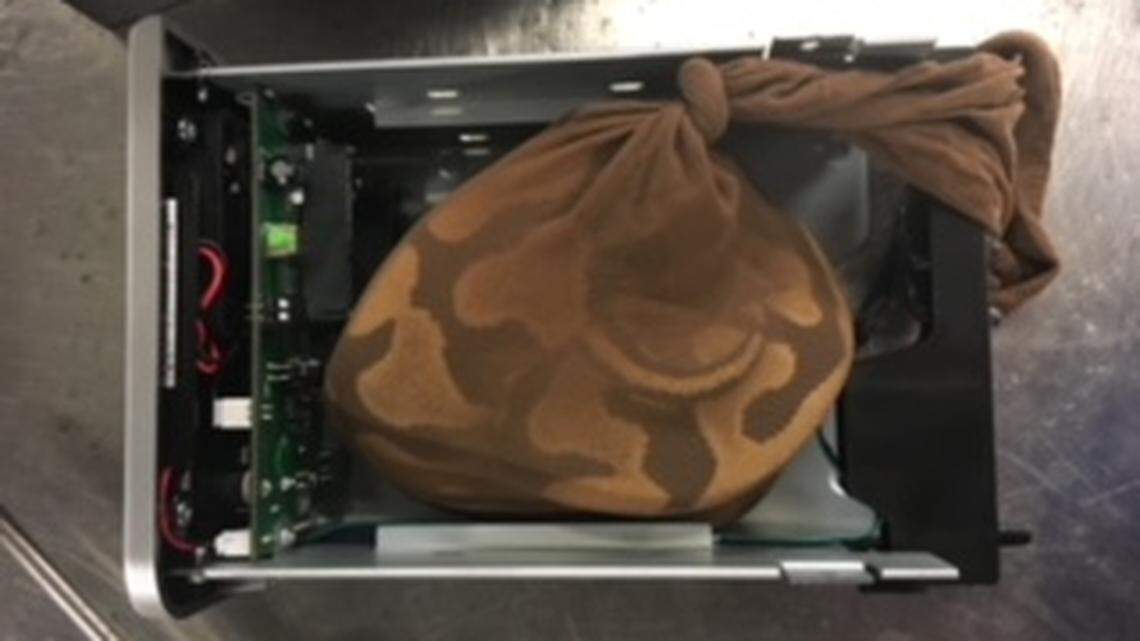 A snake was found inside this external hard drive, hidden inside a piece of luggage at Miami International Airport. The flight was headed to Barbados.