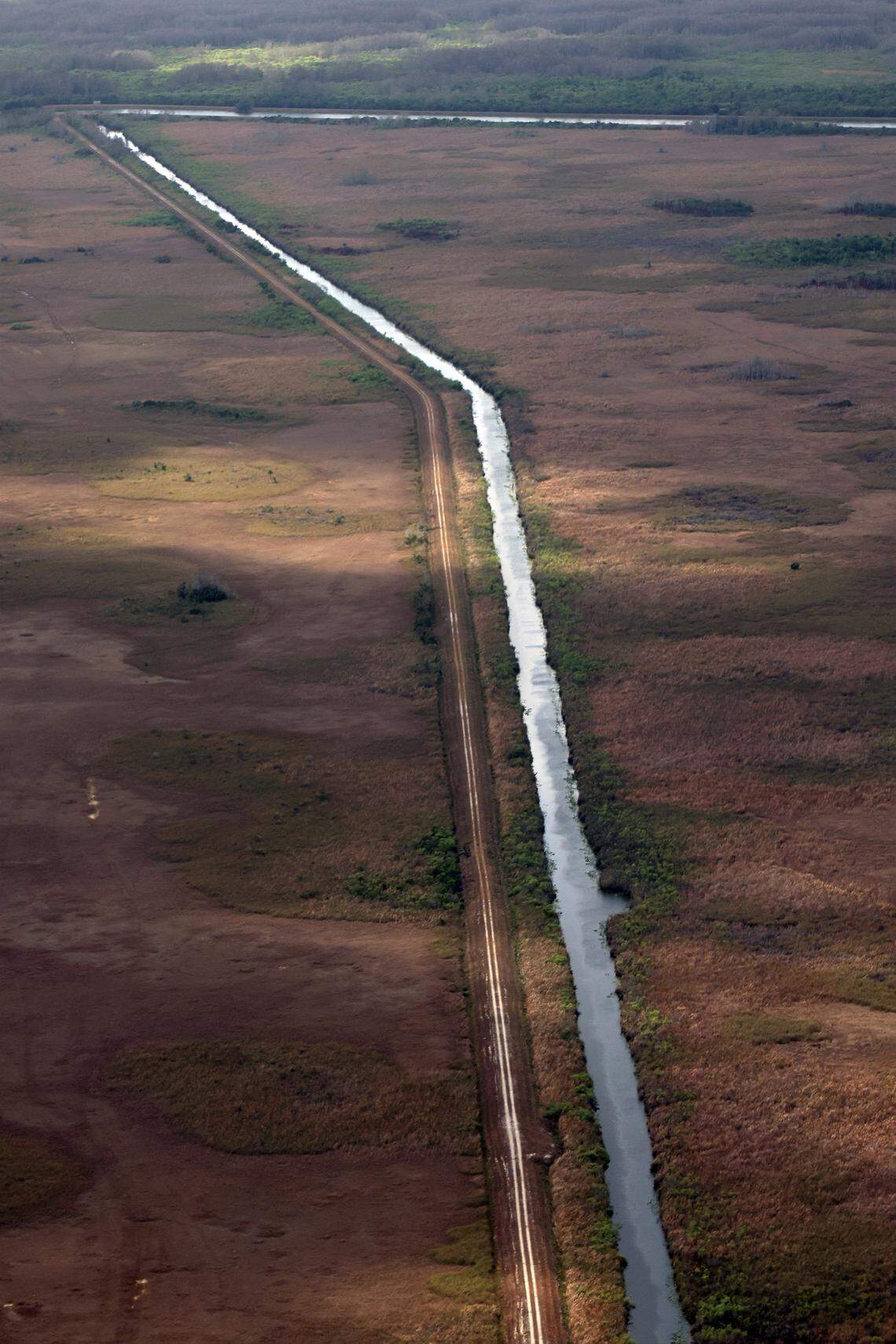 A canal cuts through the Everglades.
