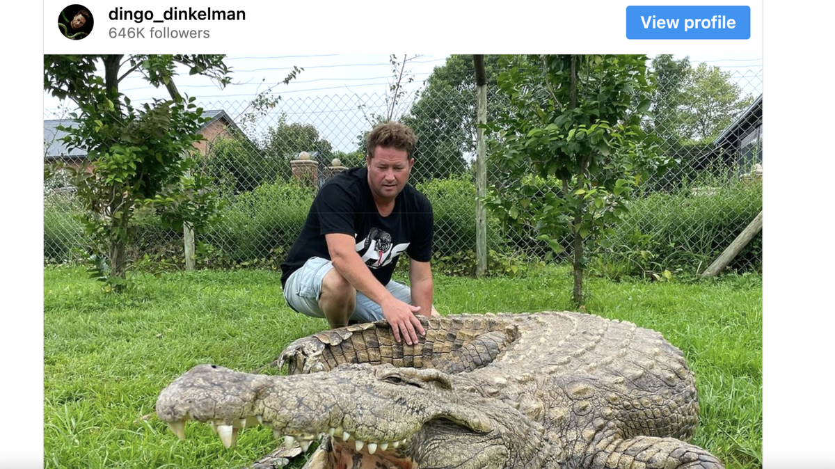 Dingo Dinkelman’s family share news of his death following venomous snake bite.