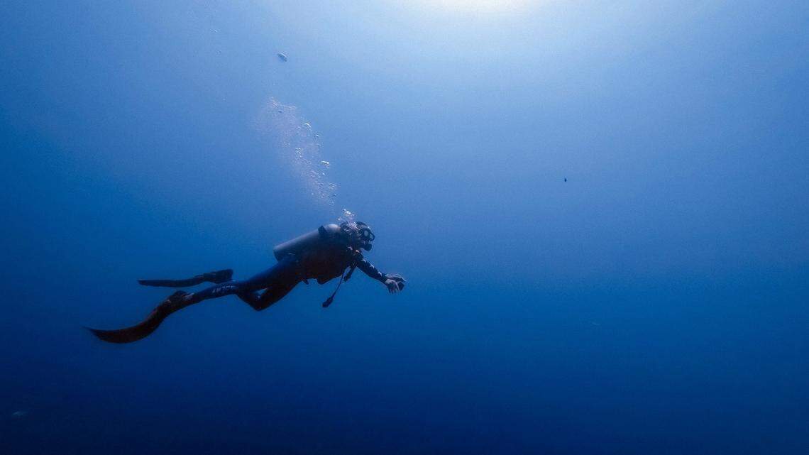 Robert Swann, not the diver pictured, was hoping to catch something special when he went diving in Malaysia recently.