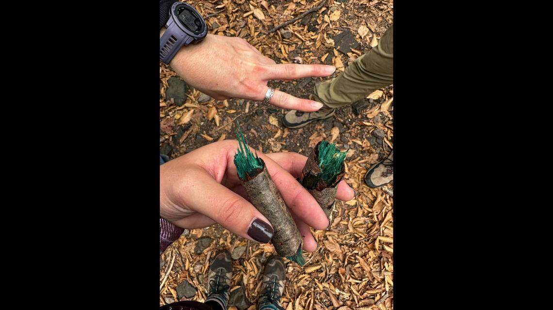 A group of hikers found an unusual, vibrant growth in the Catskill Mountains in New York.