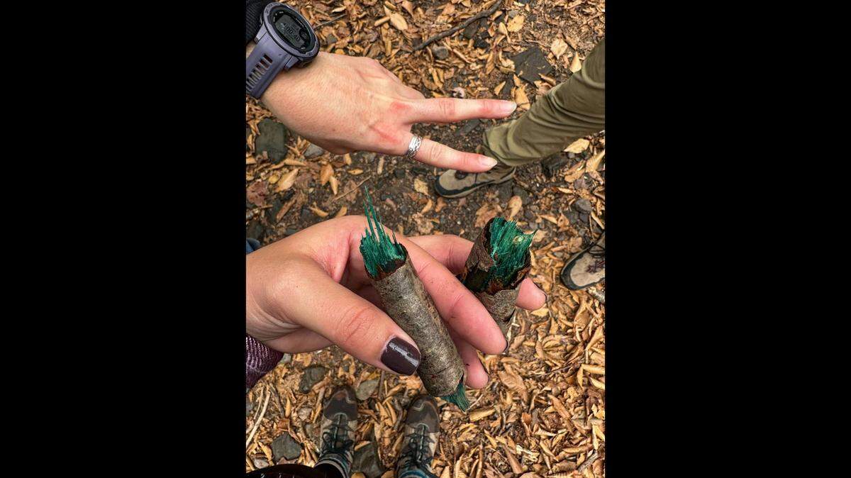 A group of hikers found an unusual, vibrant growth in the Catskill Mountains in New York.