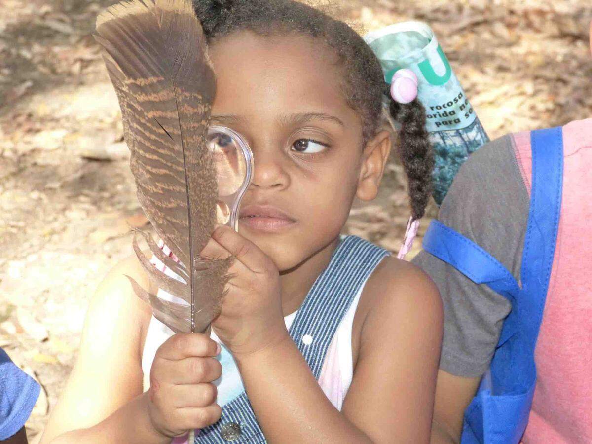 A girl&nbsp;examines&nbsp;a feather at one of the educational activity stations at Bird Day, hosted by the Tropical Audubon Society.&nbsp;