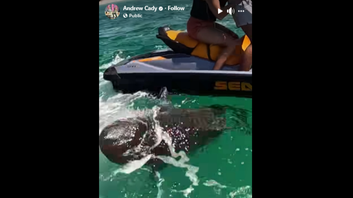 Andrew Cady said the shark circled and then rammed the Sea-Doos off Grayson Beach in the Florida Panhandle.