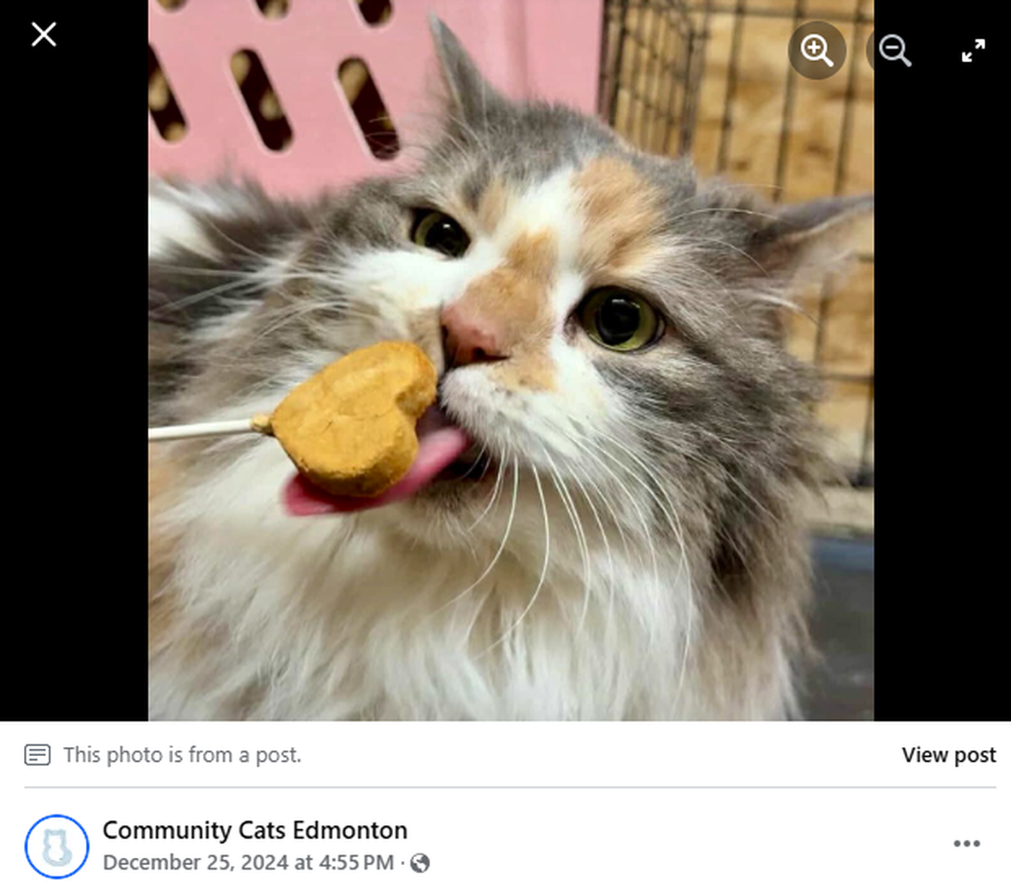 Flossy, previously called Sophie, was given a clean bill of health before she was reunited with her family.