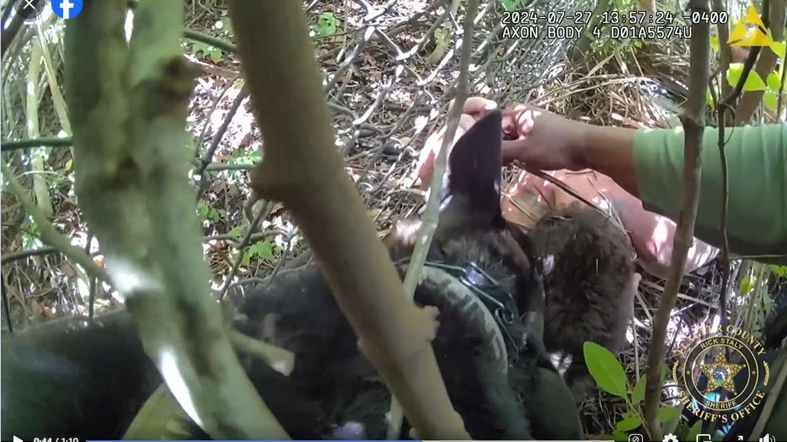 An inmate who faked an injury to escape at the hospital ended up injured for real, when a search dog bit his arm and refused to let go, body camera footage shows