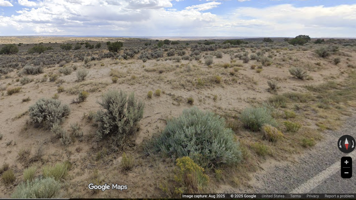 In the arid landscape of northern New Mexico, a new species of dinosaur was discovered more than a century ago.