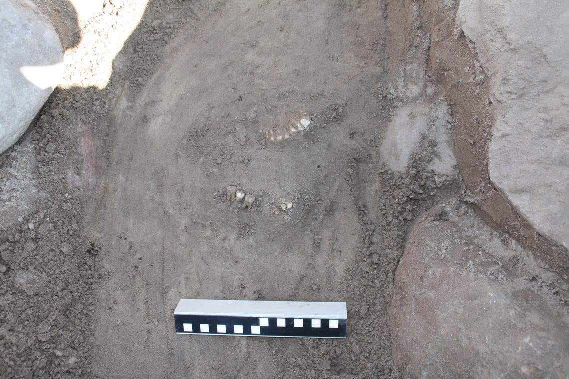 Teeth found in the 4,000-year-old grave in Funen.