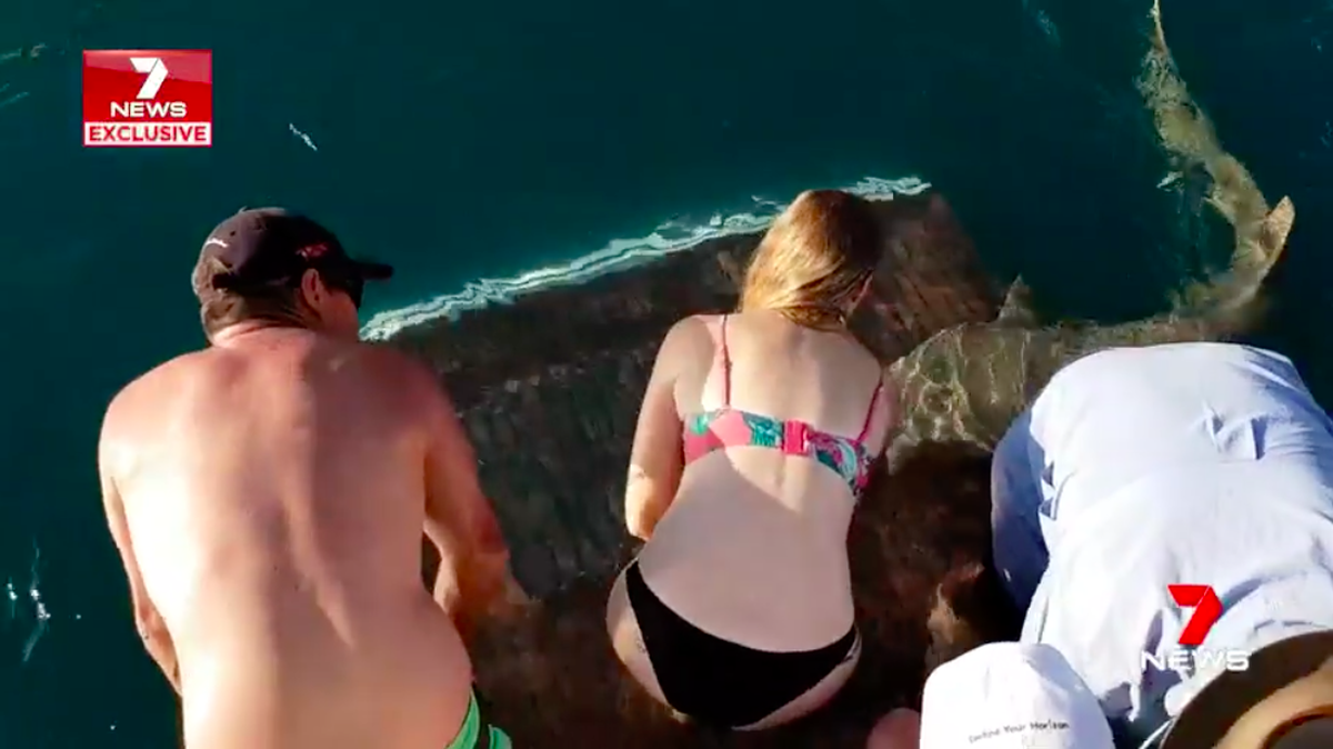Video captured the harrowing moment a shark pulled an Australian woman into the water by her finger.