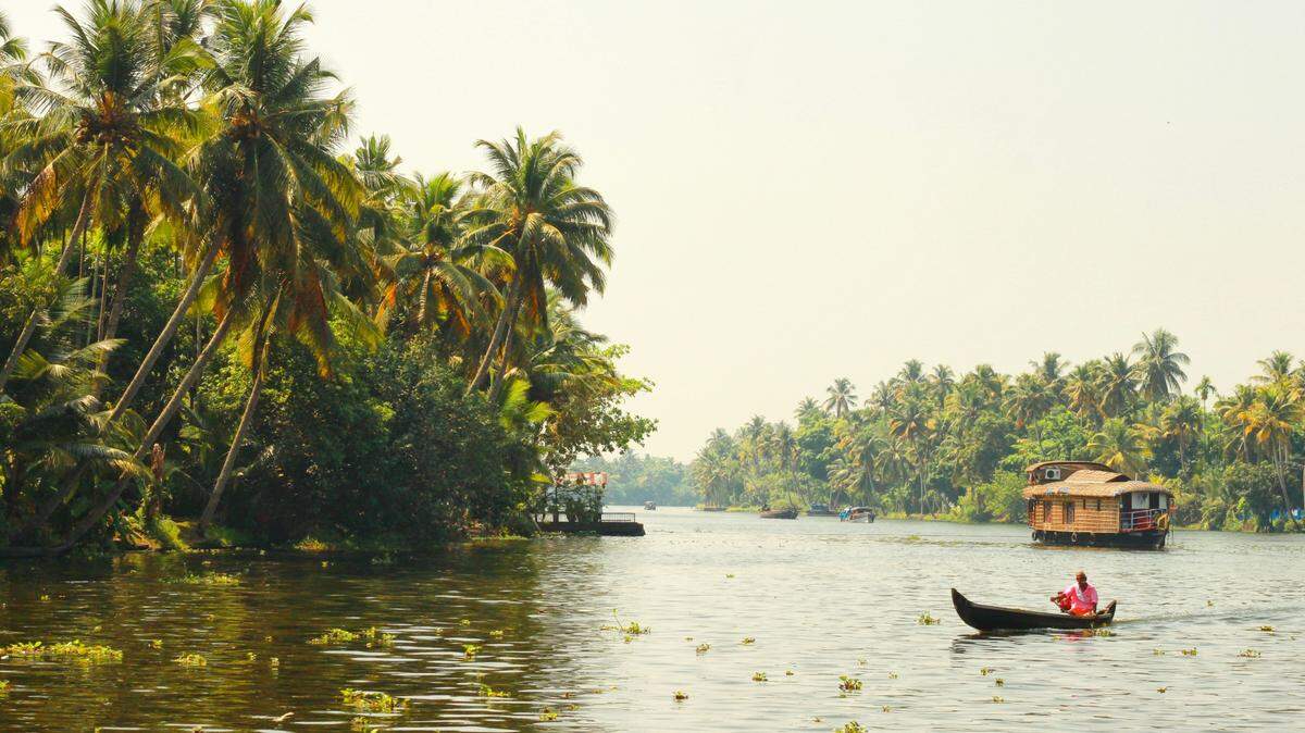 Along India’s southwestern coast, a species not seen for 73 years in the scientific record was rediscovered.