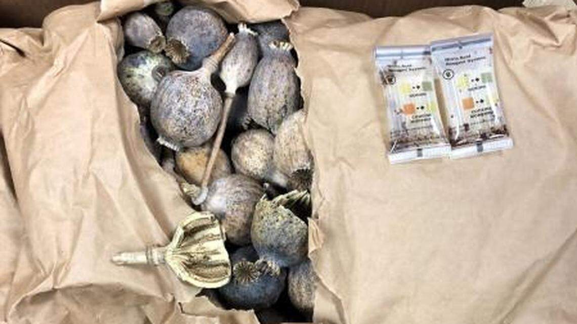 The shipment was discovered in Maryland.