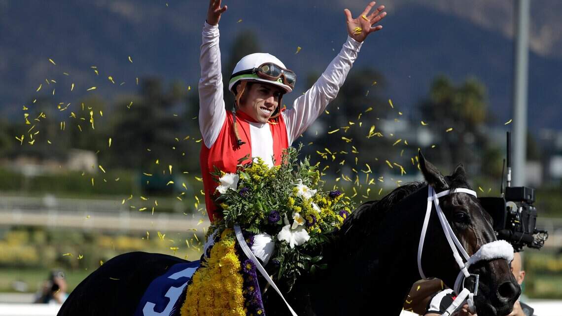 The favorite horses for Saturday’s Pegasus World Cup at Gulfstream Park were scratched 