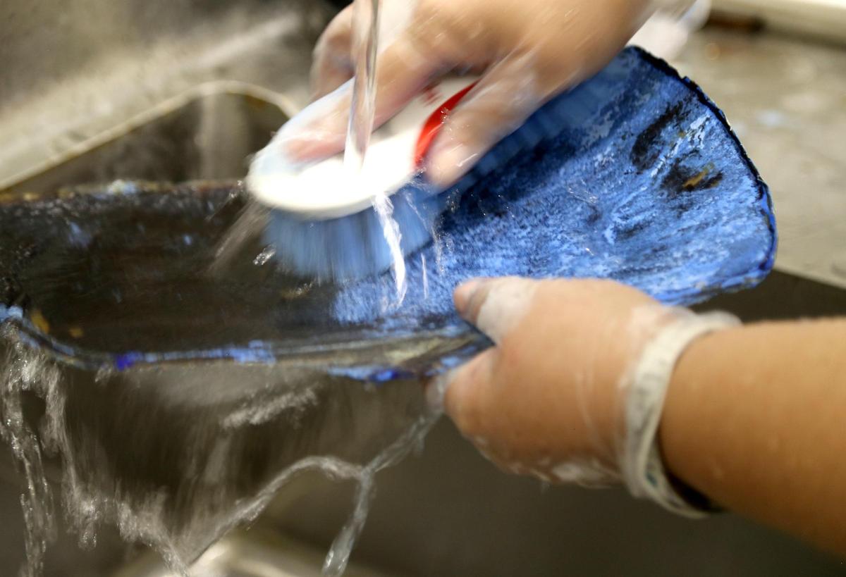 Supervisor Silvia Gaudio, with the U.S. Fish and Wildlife Service washes a piece of an endangered sea turtle shell disguised as blue plastic that was seized at MIA by the U.S. Customs & Border Protection last November.