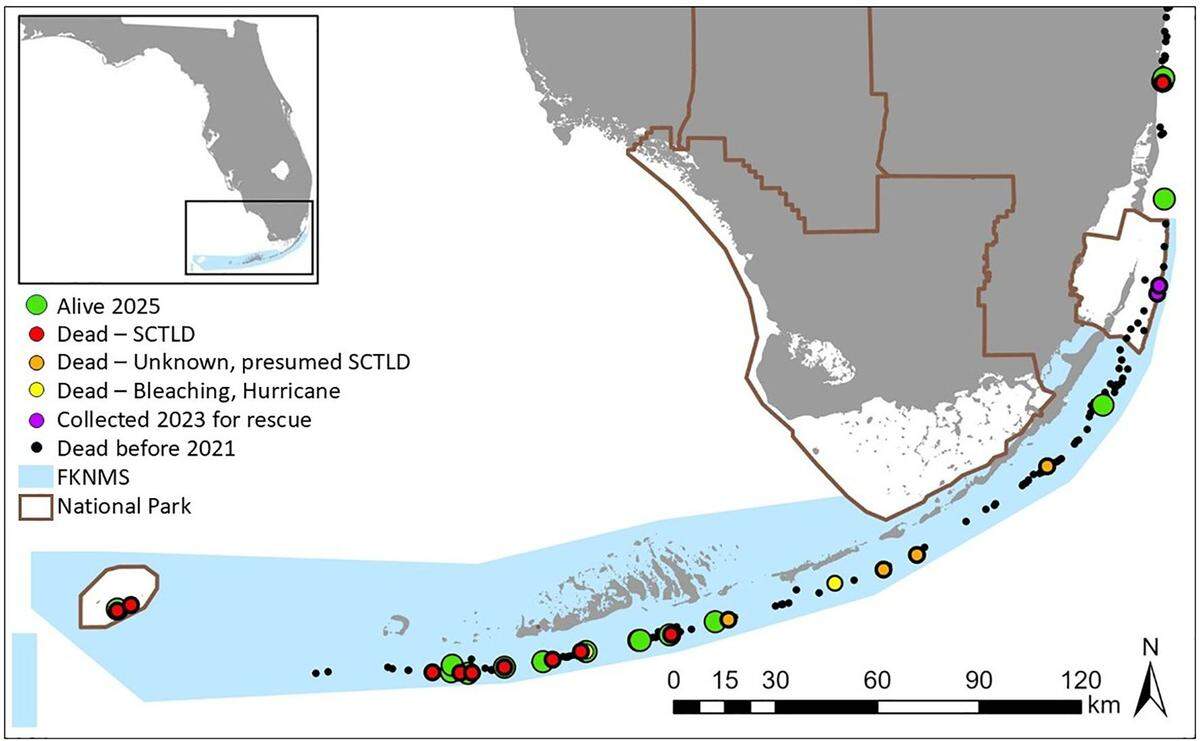 This chart shows the locations of the 23 surviving pillar corals in the Florida reef tract and the causes of death for the deceased ones.