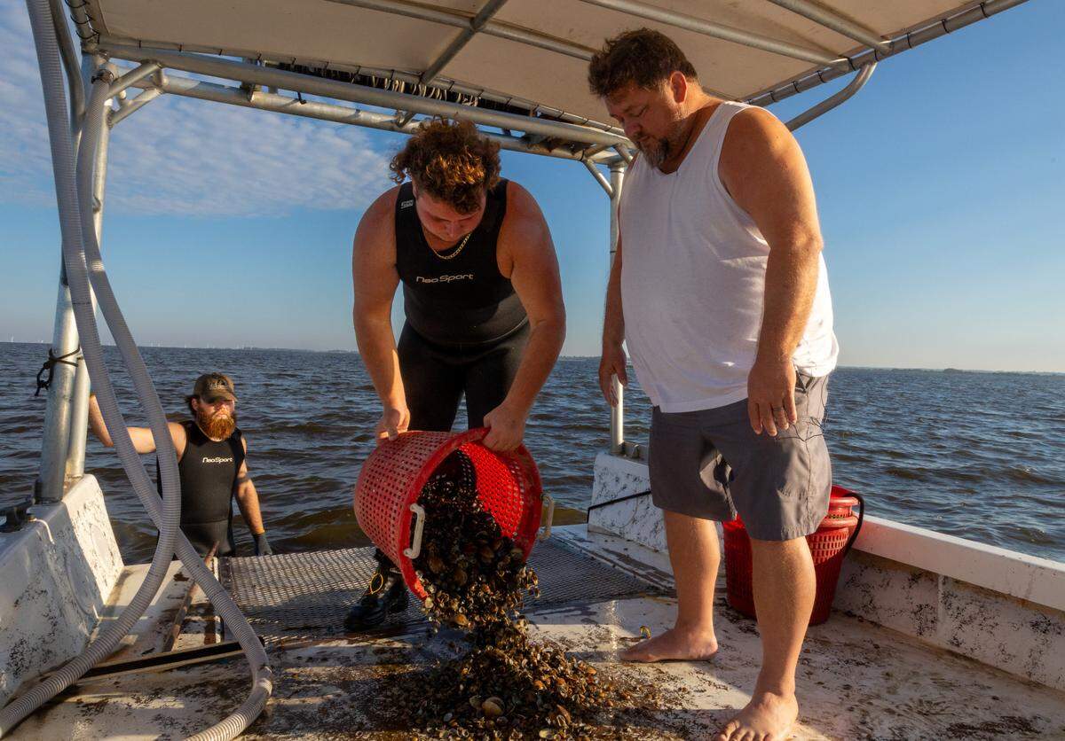 Joseph Cannon and Blake Buckley somberly watch Jeffrey Schleede dump out a bucket of dead clams and broken shells that would have sold for over $120.