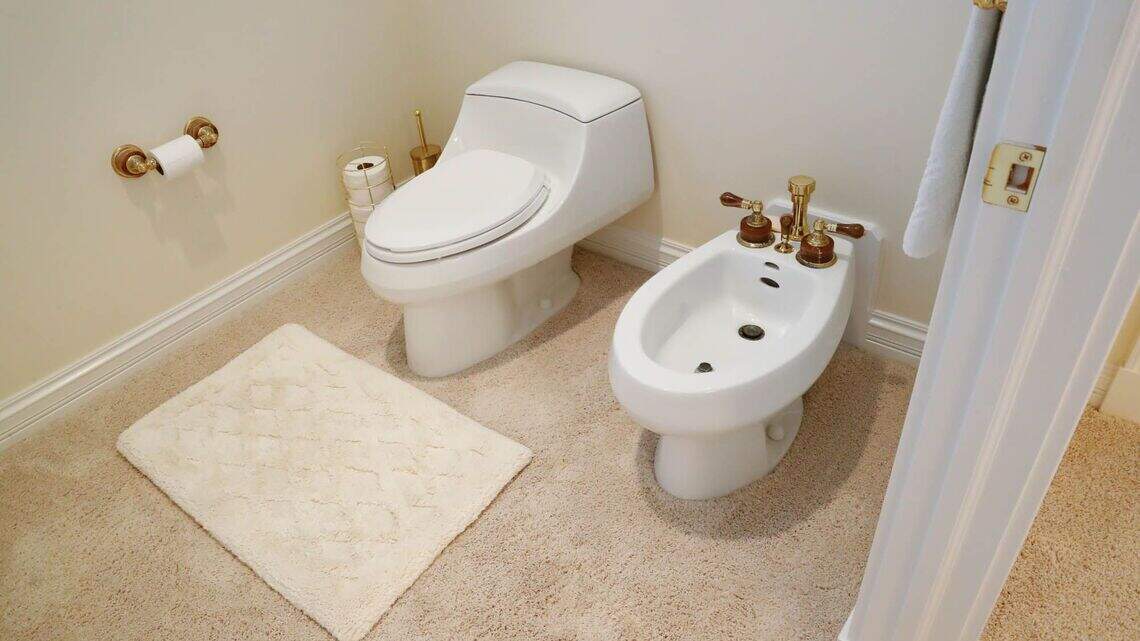 Are Bidets Actually Better for You? What to Know Before Making the Switch From Toilet Paper