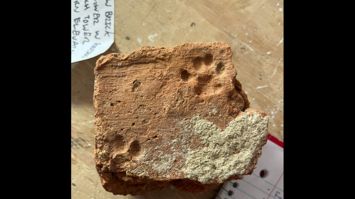 The broken brick is 3.5 inches long and includes a full kitten print about an inch wide, and a partial print. It was found deep in a 20-inch thick wall.