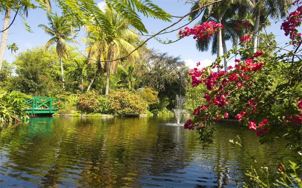 The second most populous island in the Bahamas and home to Freeport, a major city, Grand Bahama has several fishing villages, three national parks and other cultural and historical sites.