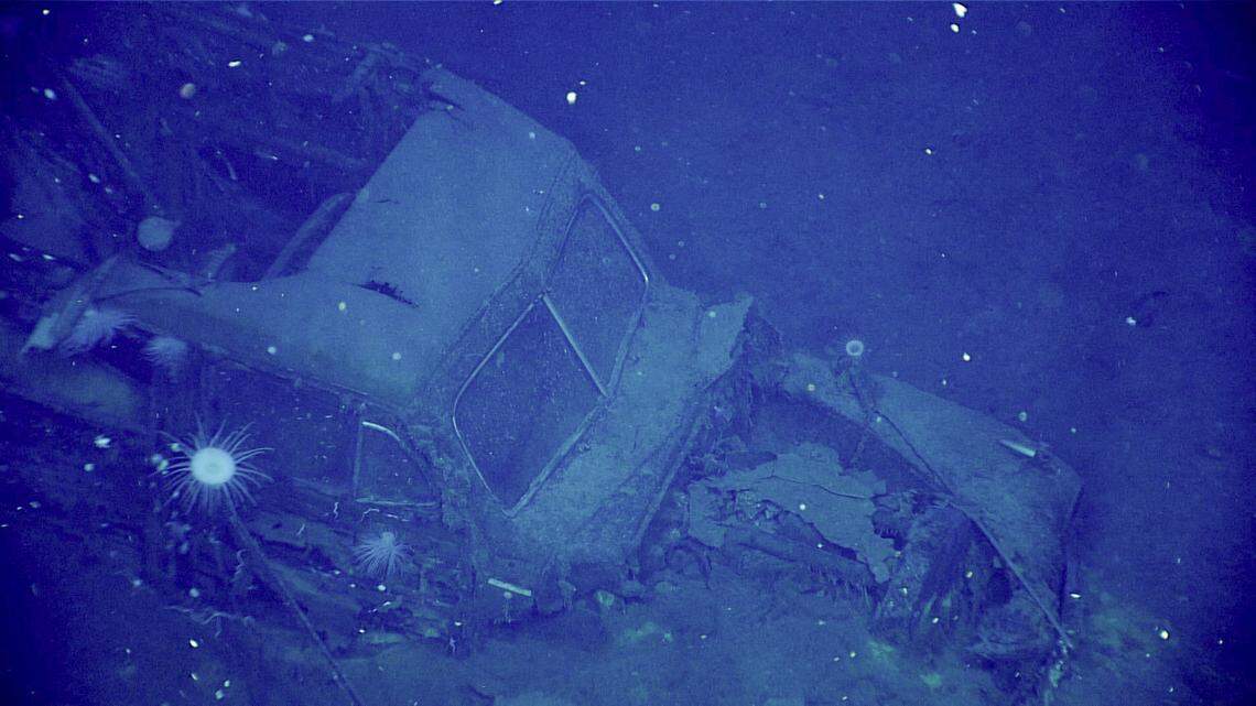 During the April 20 Papahānaumokuākea ROV and Mapping expedition dive, we imaged this automobile, likely 1940-41 Ford Super Deluxe ‘Woody,’ in the hangar deck of USS Yorktown. Visible in this image are rectangular rear windows, chrome detail on the fenders, a split windshield, parking lights above the headlights, and a chrome bumper.