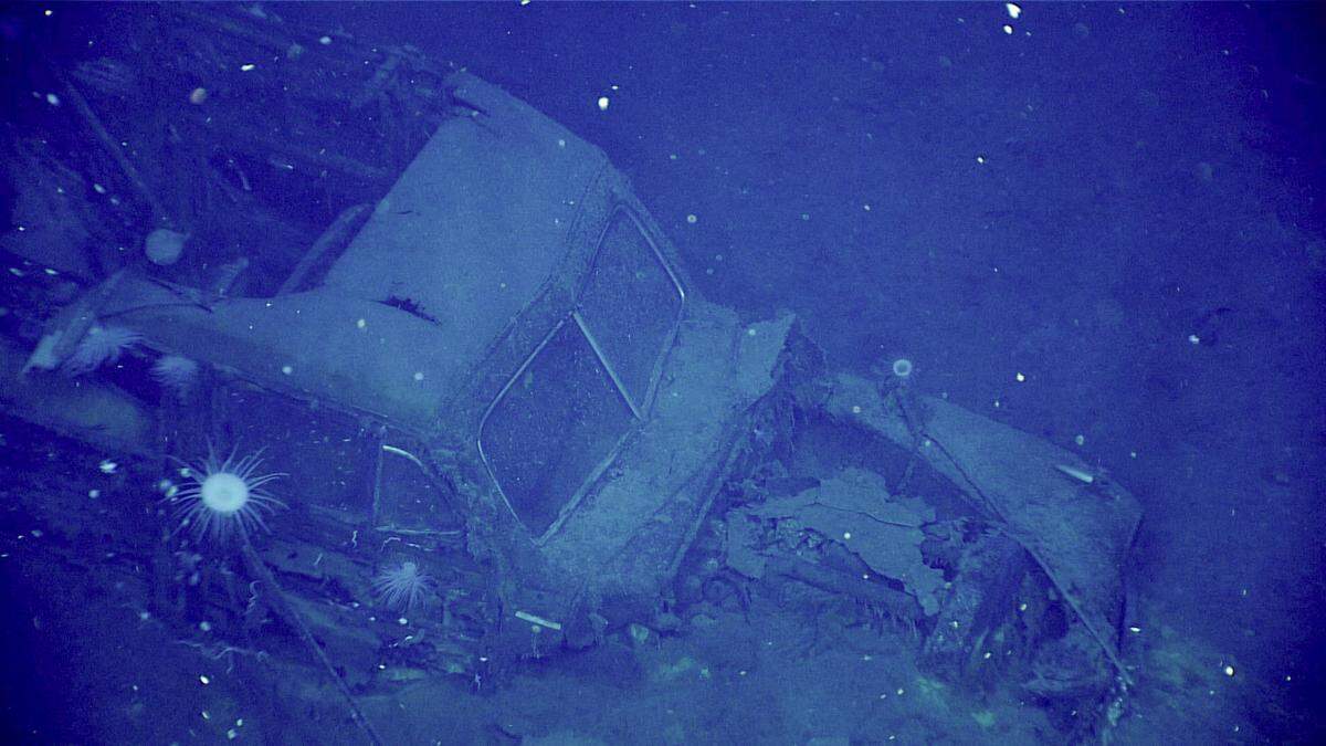 During the April 20 Papahānaumokuākea ROV and Mapping expedition dive, we imaged this automobile, likely 1940-41 Ford Super Deluxe ‘Woody,’ in the hangar deck of USS Yorktown. Visible in this image are rectangular rear windows, chrome detail on the fenders, a split windshield, parking lights above the headlights, and a chrome bumper.