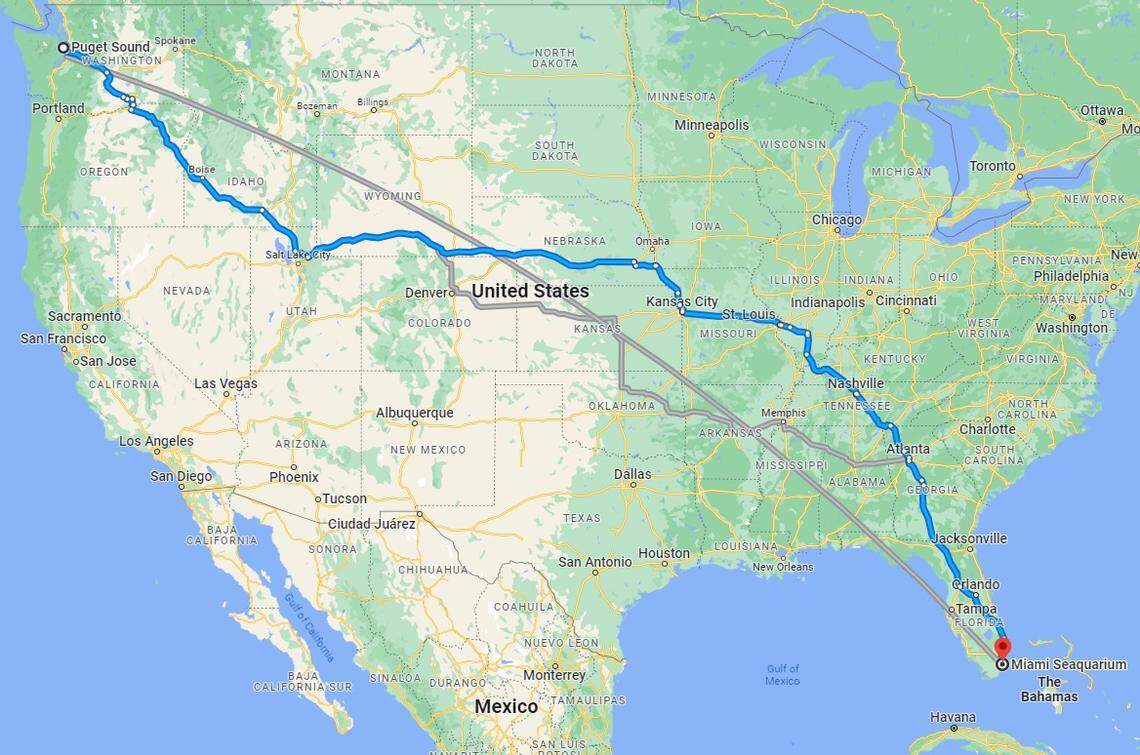 A Google Maps route from Puget Sound in Washington to the Miami Seaquarium on Rickenbacker Causeway in Florida. The distance is about 3,354 miles, a flight that takes about six hours.