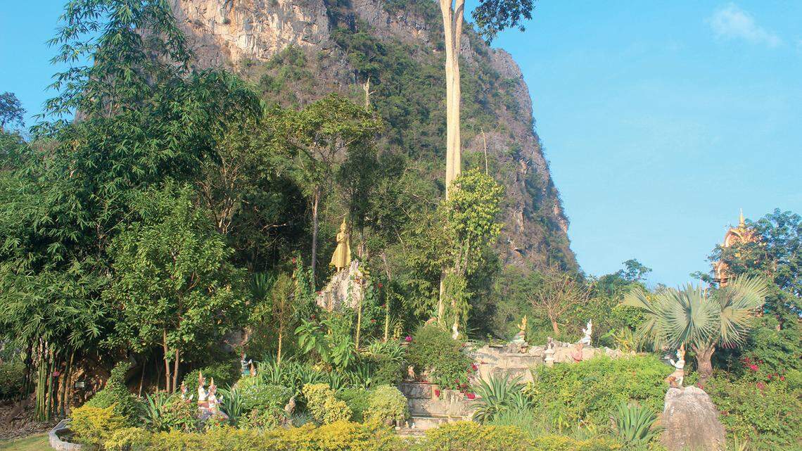 Scientists entered a temple in Vientiane province and discovered a new species of spiky animals, Dixonius muangfuangensis, inside, a study said.