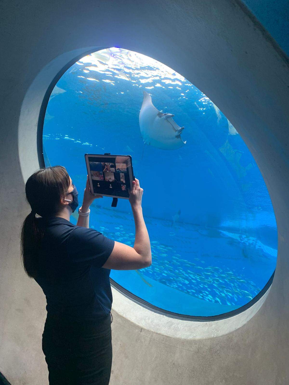 A volunteer at Frost Science Summer Virtual Camp gives a virtual tour of the Phillip and Patricia Frost Museum of Science in downtown Miami. 