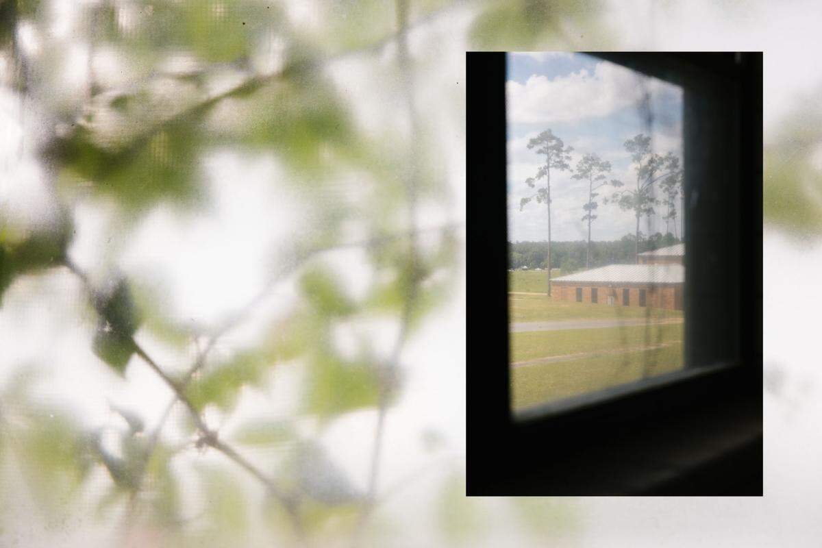 A view of the Dozier School for Boys campus as seen from a solitary confinement room at Lincoln dormitory on June 29, 2024. / Plantes pressed against a frosted window at the Dozier School for boys on June 29, 2024.