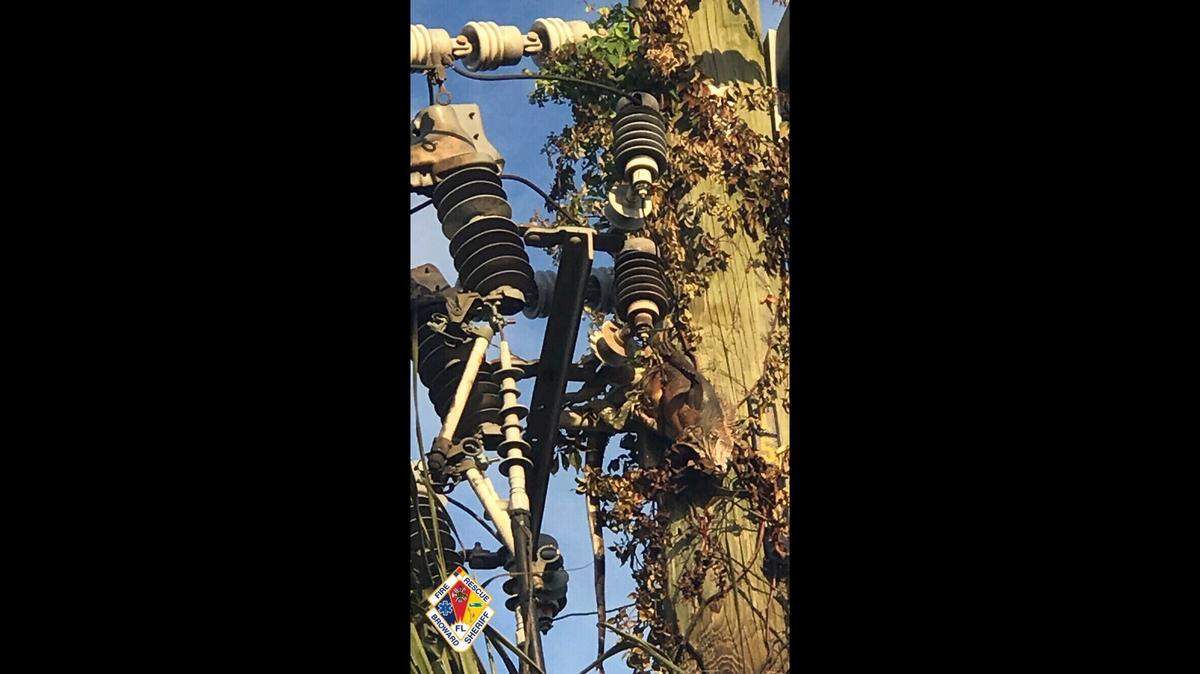 An iguana knocked power out to a nursing home on Friday, forcing the assisted care facility to switch to generator power. Air conditioning deficiencies caused Broward Sheriff Fire Rescue to evacuate 20 patients.