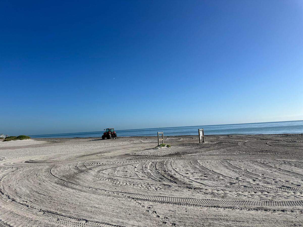 A view of the beach at 251 Crandon Blvd., where a human head was found by a beach maintenance worker Tuesday, Nov. 12, 2024.