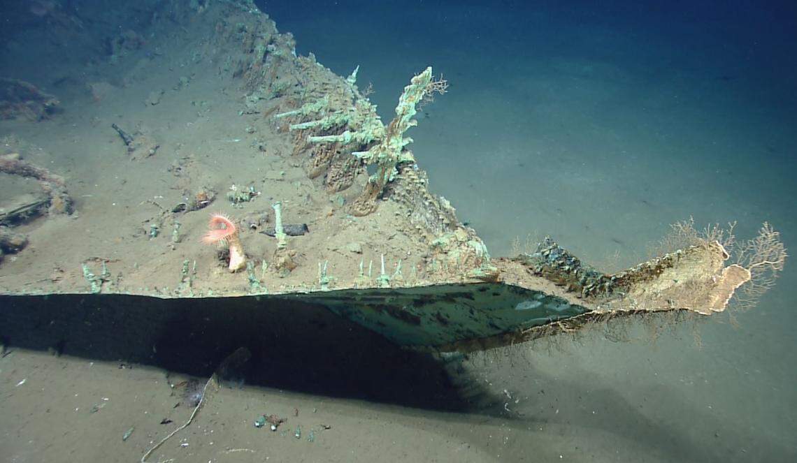 The stem post on the Monterrey A shipwreck in the Gulf of Mexico.