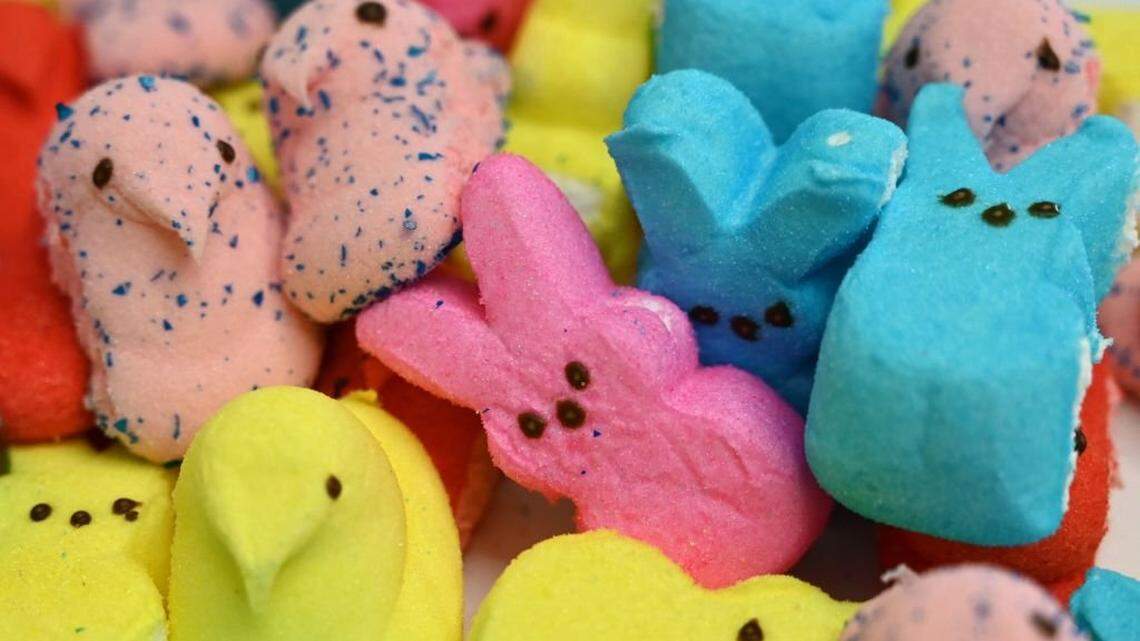 This illustration shows Peeps marshmallows laying on a table in Washington, DC on April 2, 2021. - The US-made confection produced by Just Born is back on the shelves for the 2021 Easter season after a hiatus on holiday-themed Peeps over the past year due to production issues during the pandemic. Peeps, which can be shaped into chicks, bunnies and other animals, are typically used to fill Easter baskets. (Photo by Eva HAMBACH / AFP) (Photo by EVA HAMBACH/AFP via Getty Images)