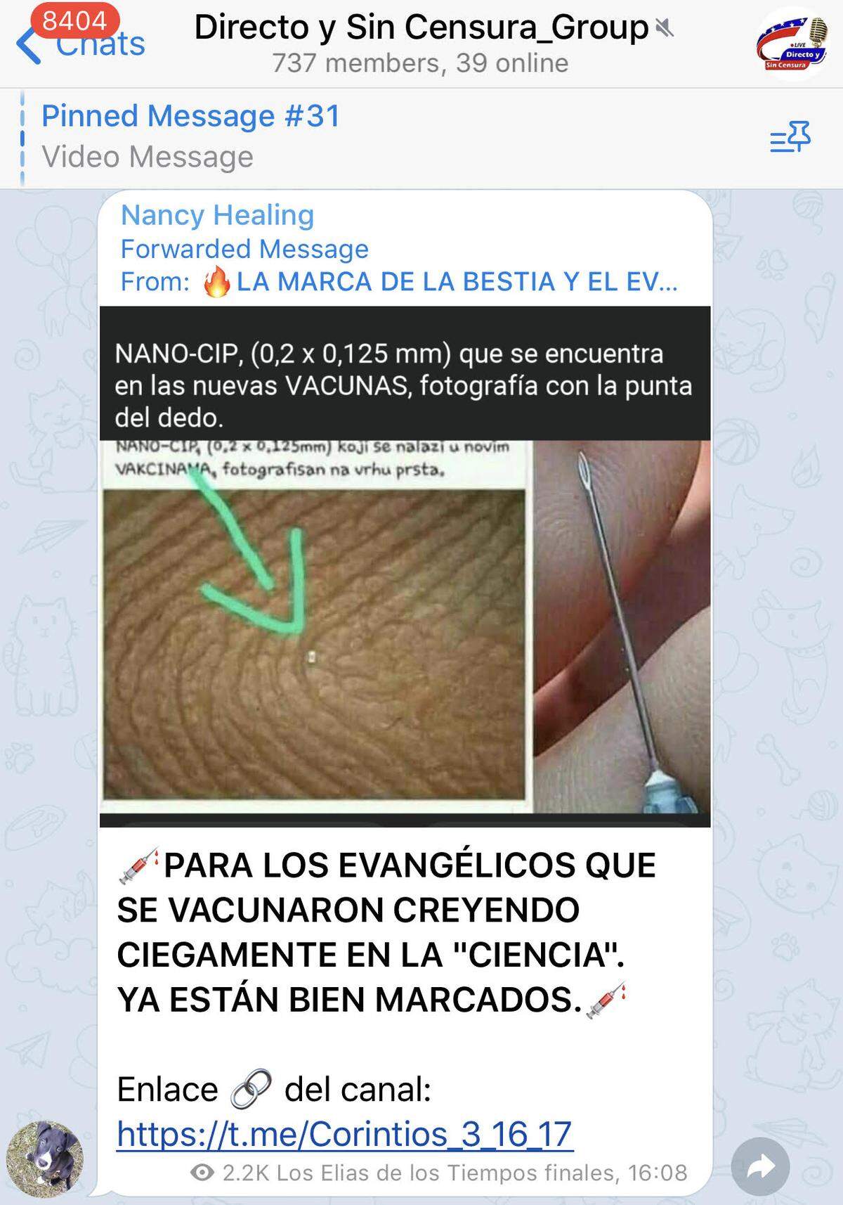 Captura de pantalla de un grupo pro-Trump en la plataforma de mensajería Telegram.