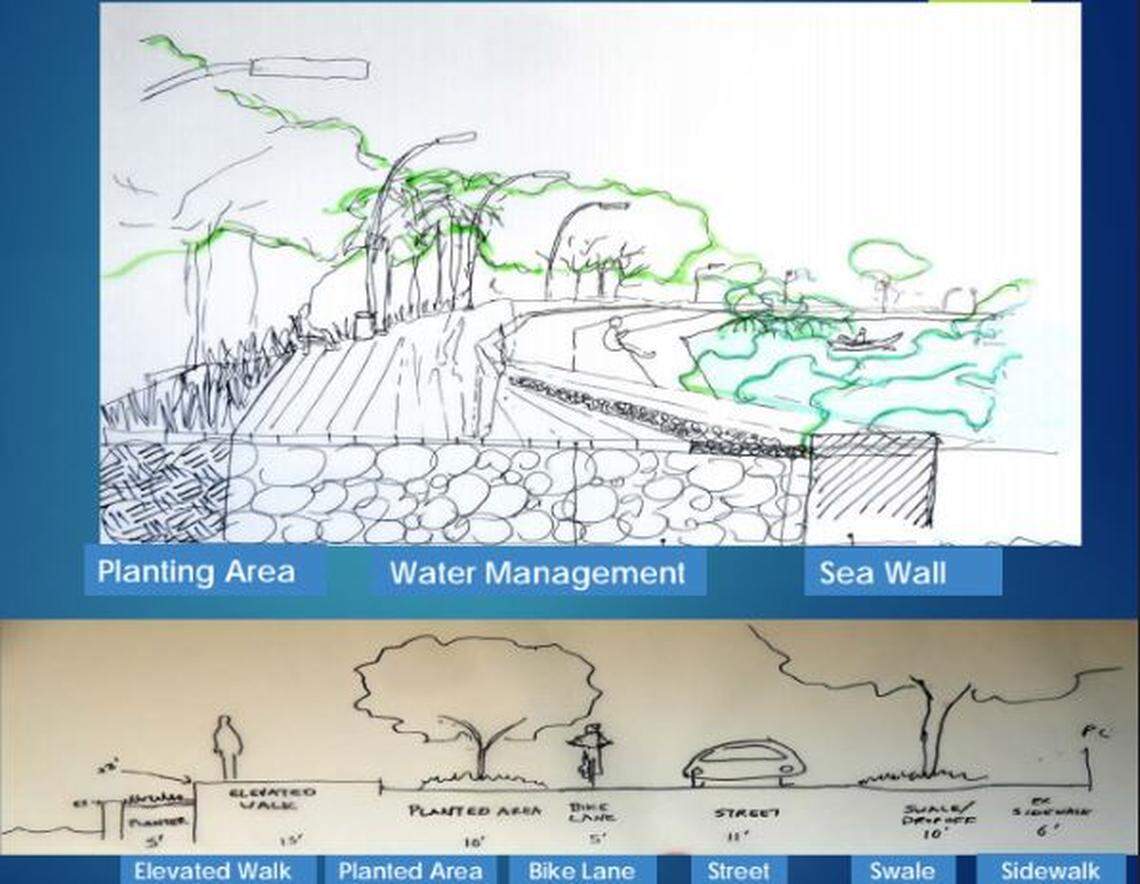 Concept sketches show possible visions of Brickell Bay Drive after a sea rise friendly revamp, which could include the installation of a living shoreline