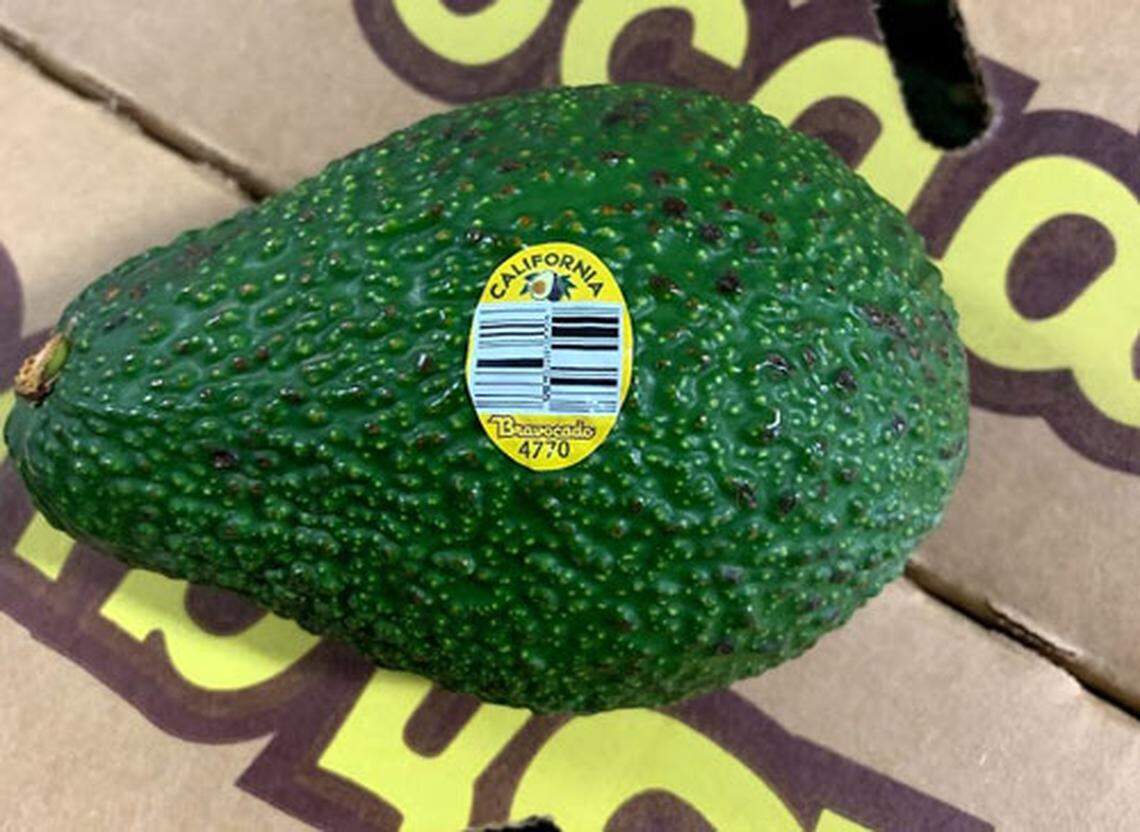 The regular avocados recalled by Henry Avocado have “Bravacado” on the yellow sticker