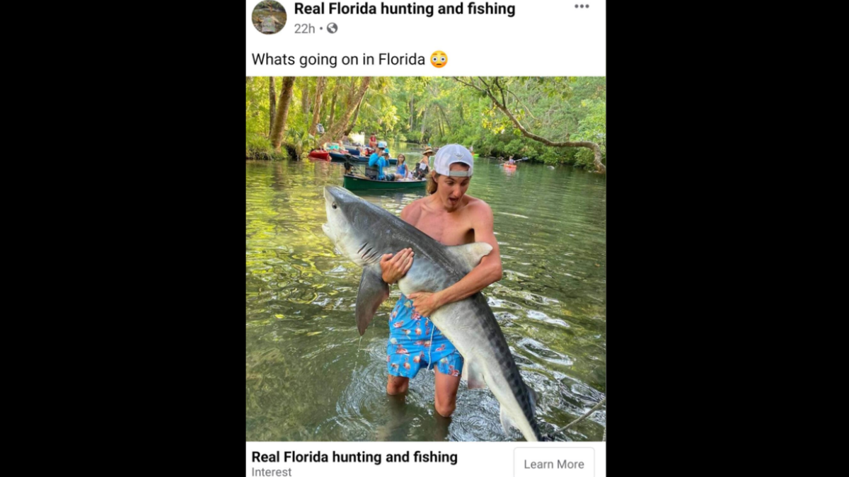 After Florida man Joseph Wilson posted his photo with an illegally caught shark on Facebook, the Real Florida hunting and fishing page shared it.