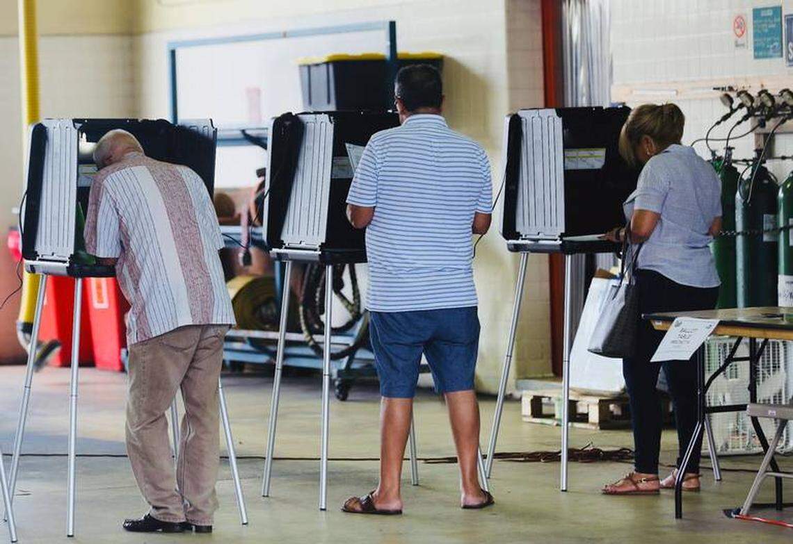 Voters cast their ballots.